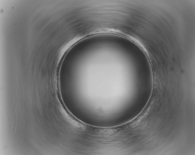 X0000073731003200608101925