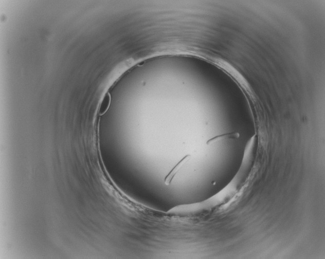 X0000073731004200608101925