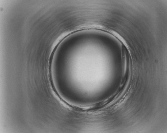 X0000073731005200608101925