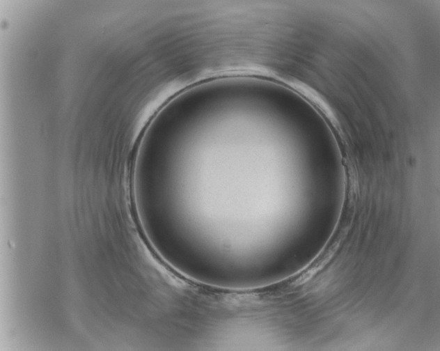 X0000073731006200608101925