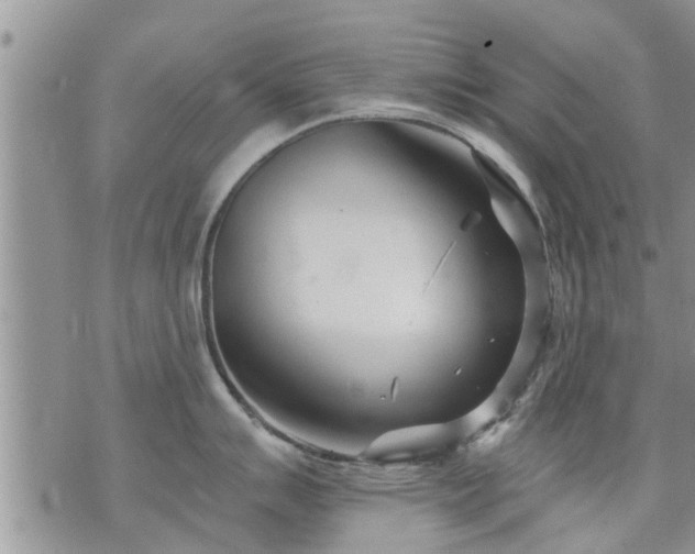 X0000073731007200608101925