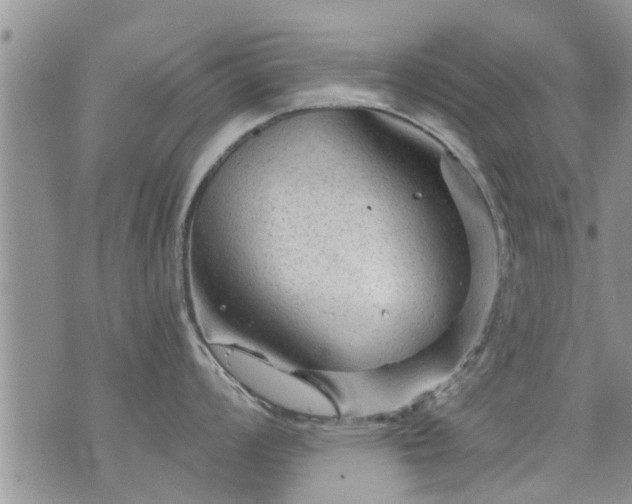 X0000073731008200608101925