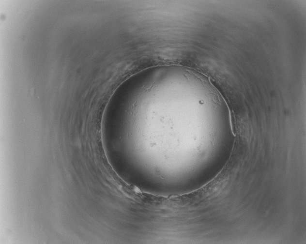 X0000073731009200608101924