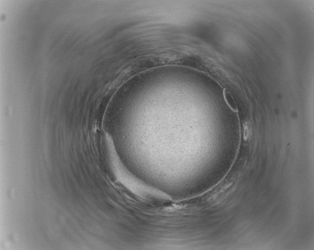 X0000073731011200608101924