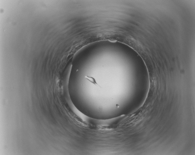 X0000073731012200608101924