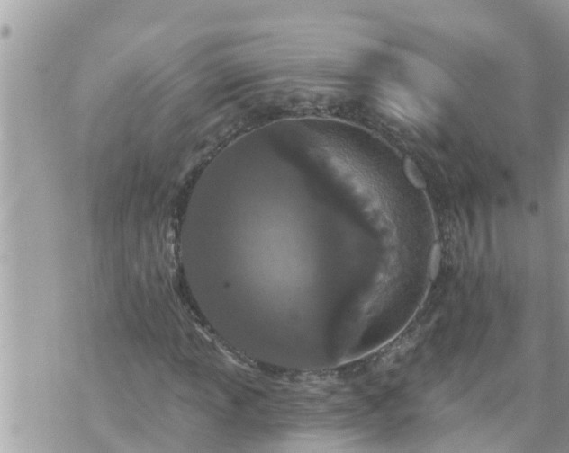 X0000073731013200608101924