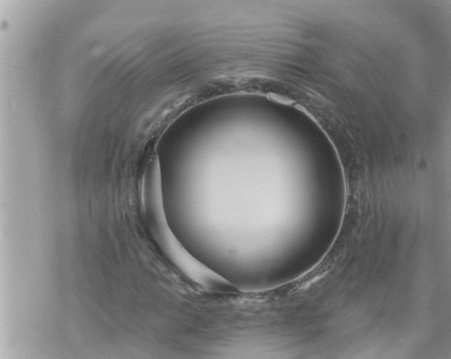 X0000073731014200608101924