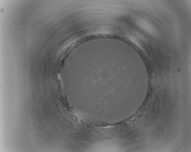 X0000073731015200608101924