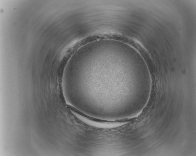 X0000073731016200608101924