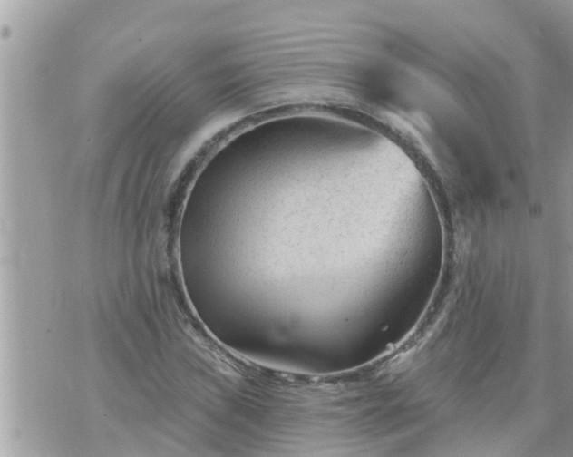 X0000073731019200608101924