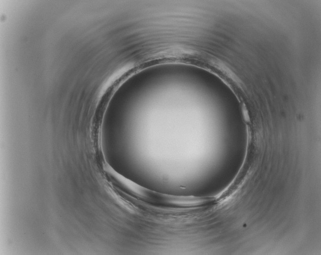 X0000073731026200608101924