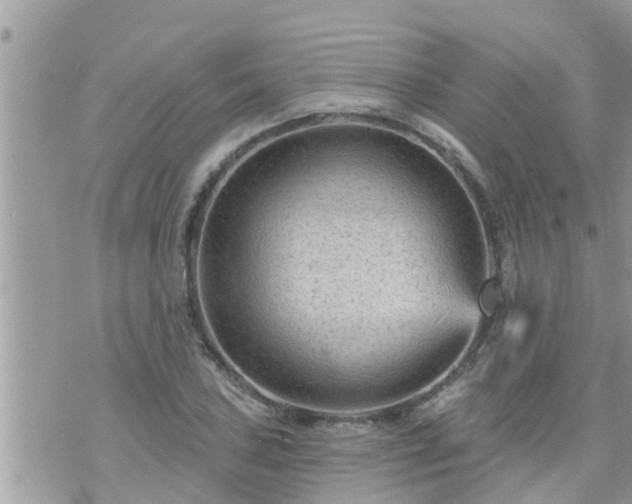 X0000073731027200608101924