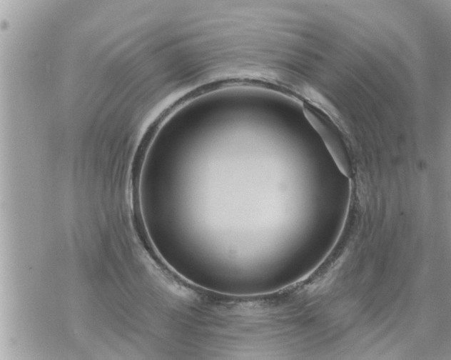 X0000073731028200608101924