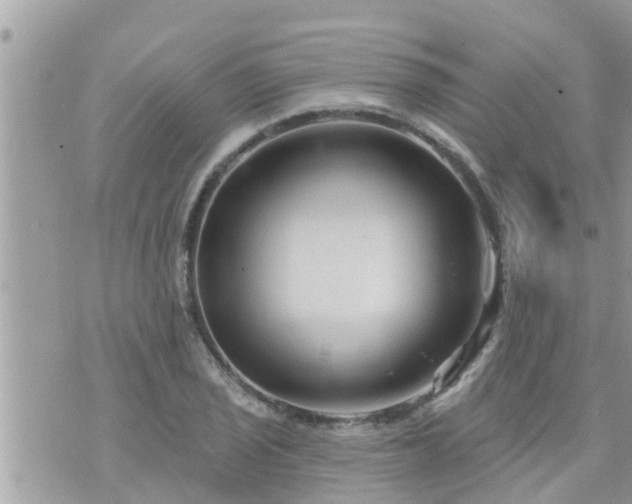 X0000073731029200608101924