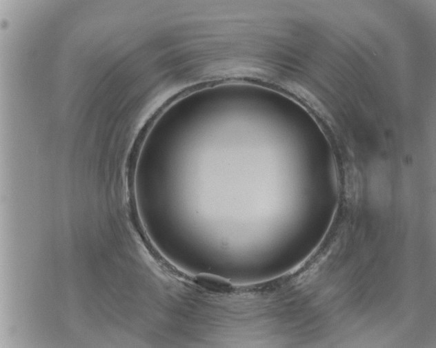 X0000073731031200608101924