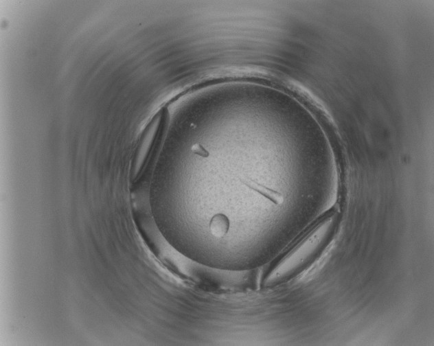 X0000073731033200608101924