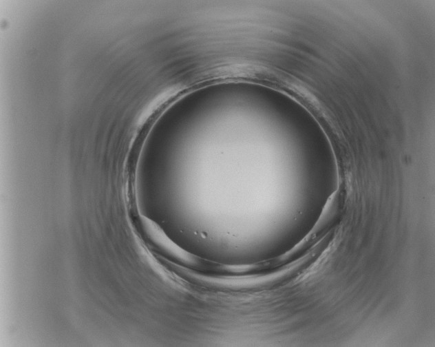 X0000073731034200608101925