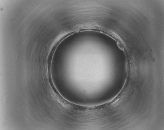 X0000073731035200608101925