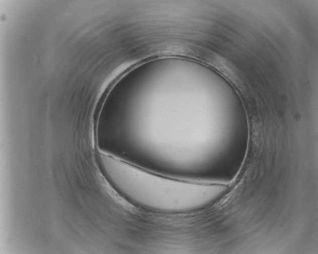 X0000073731036200608101925