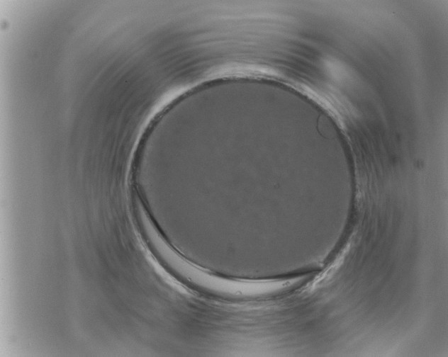 X0000073731037200608101925