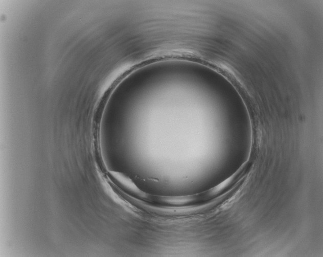 X0000073731038200608101925