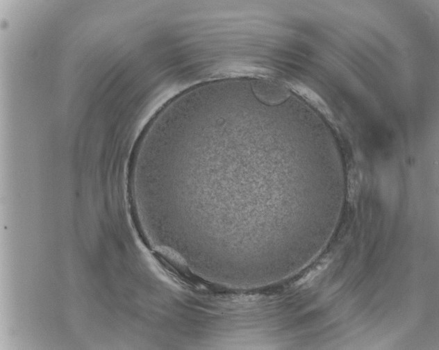 X0000073731039200608101925