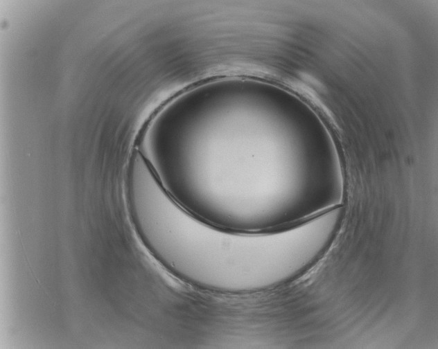 X0000073731040200608101925