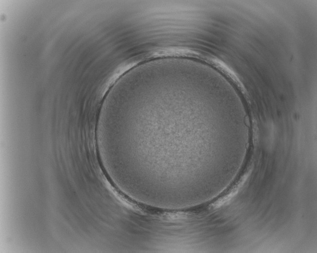 X0000073731041200608101925