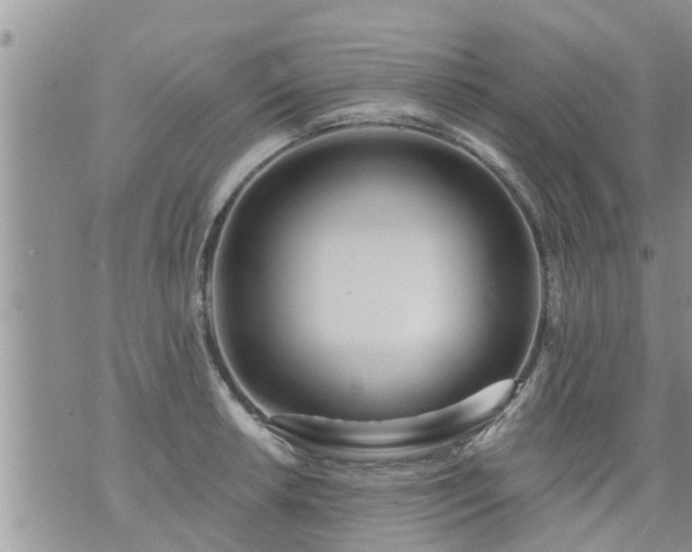 X0000073731042200608101925