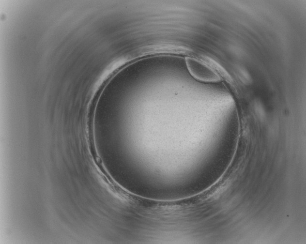 X0000073731043200608101925