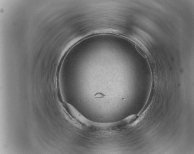 X0000073731044200608101925