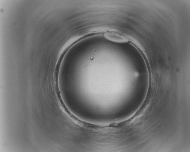 X0000073731045200608101925