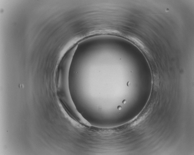 X0000073731046200608101925