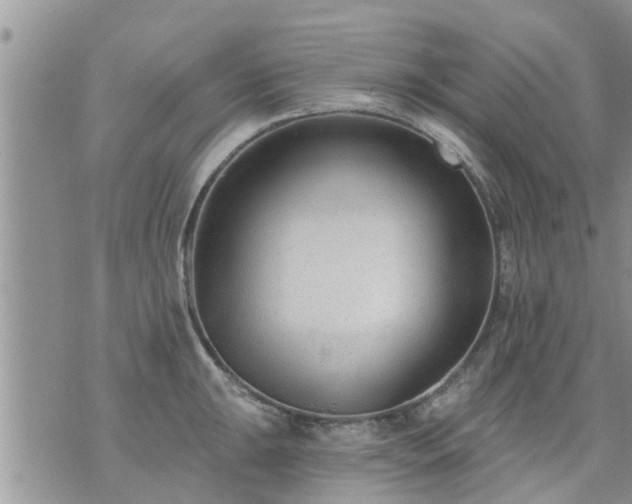 X0000073731047200608101925