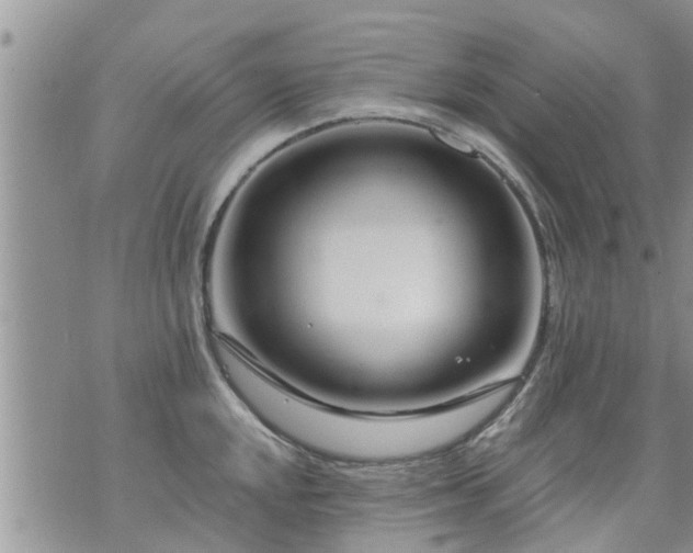 X0000073731048200608101925