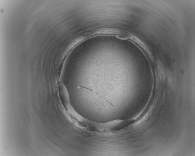 X0000073731049200608101925