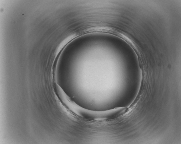 X0000073731050200608101925