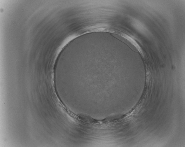 X0000073731051200608101925