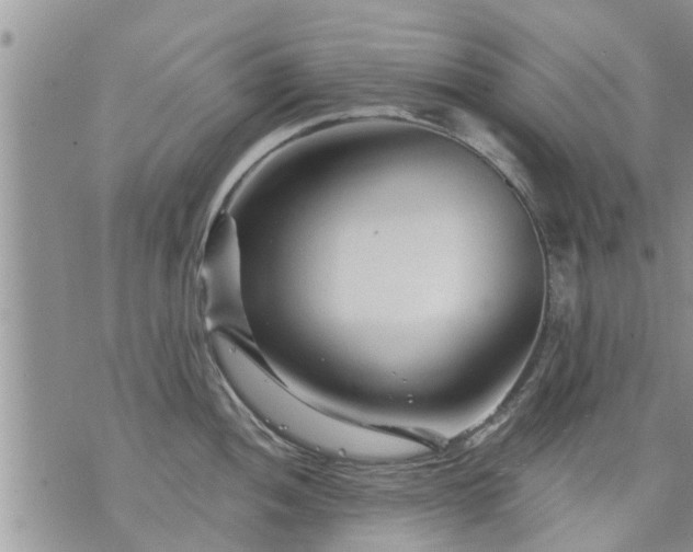 X0000073731052200608101925