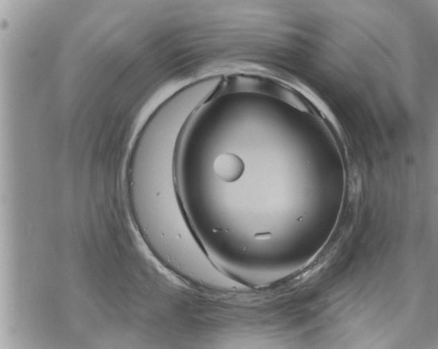 X0000073731053200608101925