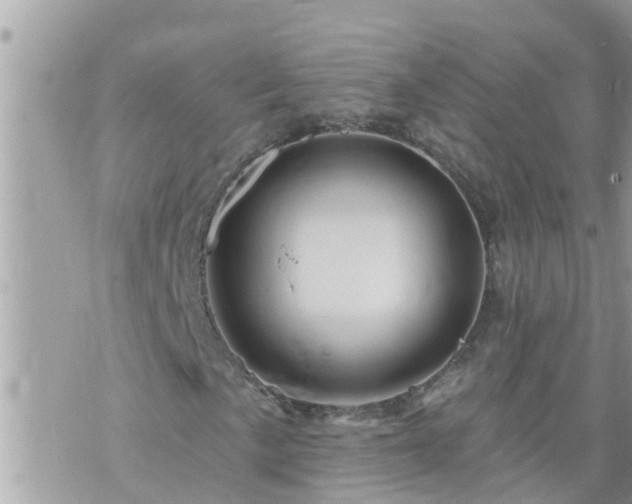 X0000073731057200608101924