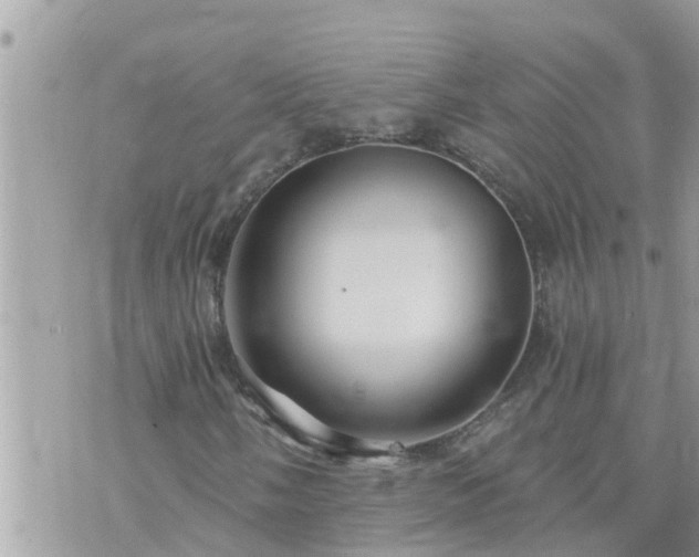 X0000073731058200608101924