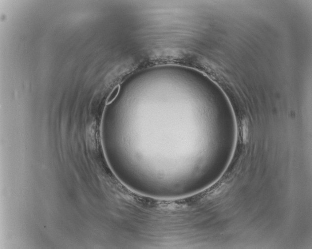 X0000073731059200608101924