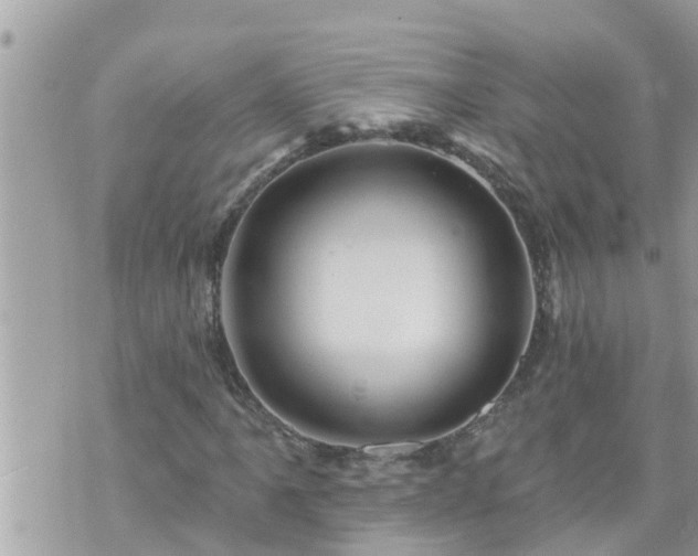 X0000073731061200608101924