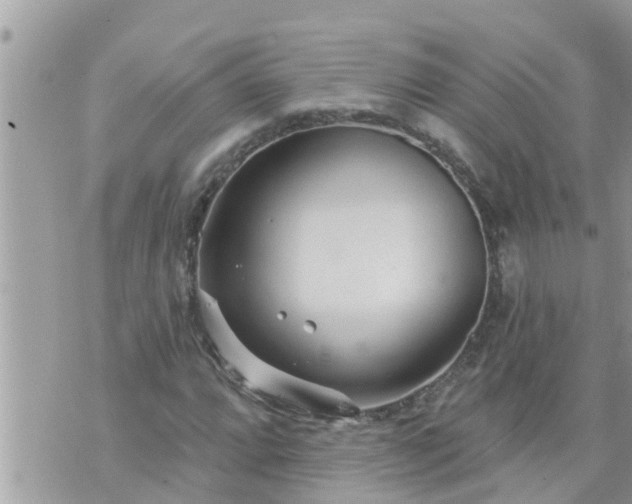 X0000073731064200608101924