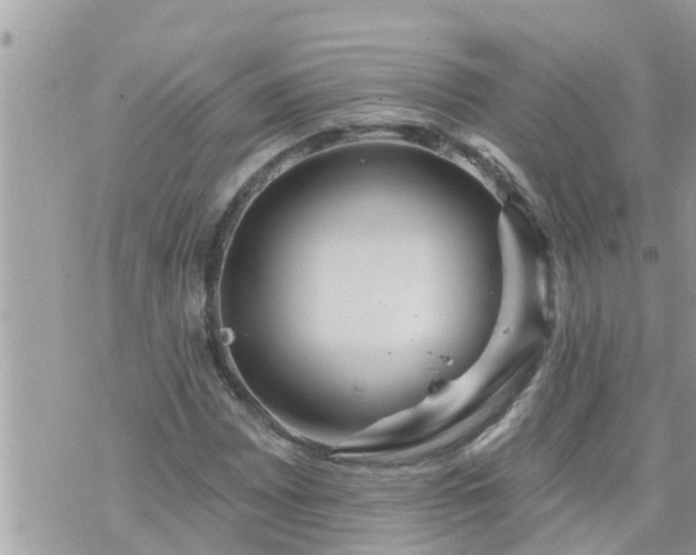 X0000073731065200608101924