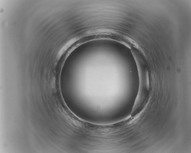 X0000073731066200608101924