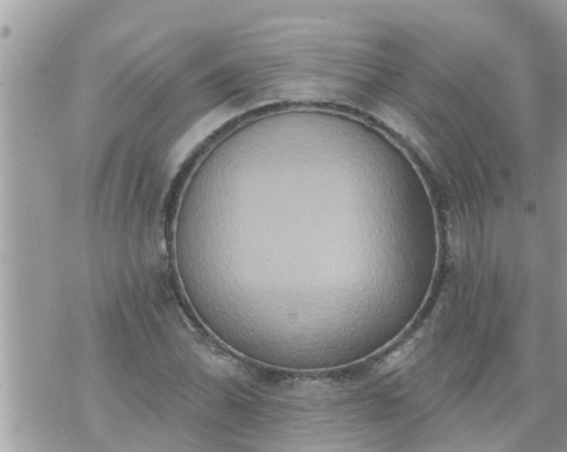 X0000073731070200608101924