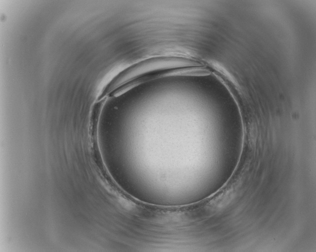 X0000073731071200608101924