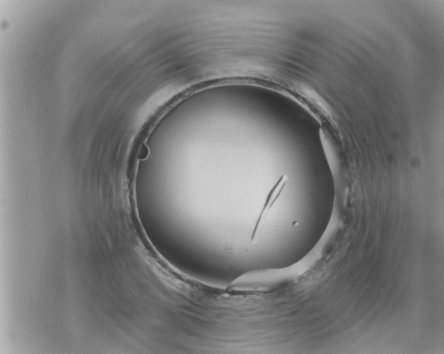 X0000073731072200608101924